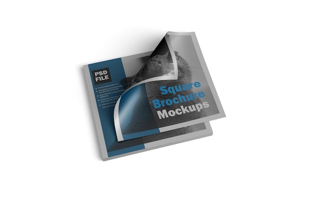 PSD square brochure mockups