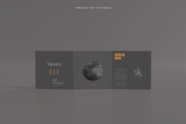 Square Tri Fold Brochure Mockup