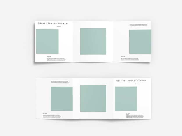 Square Trifolds Mockup