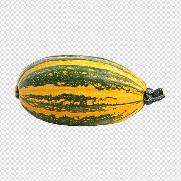 Squash isolated on transparent background cut out