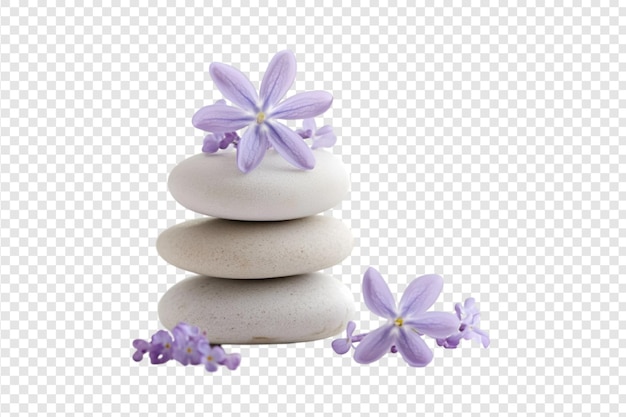 Stack of white stones with purple flowers on a transparent background