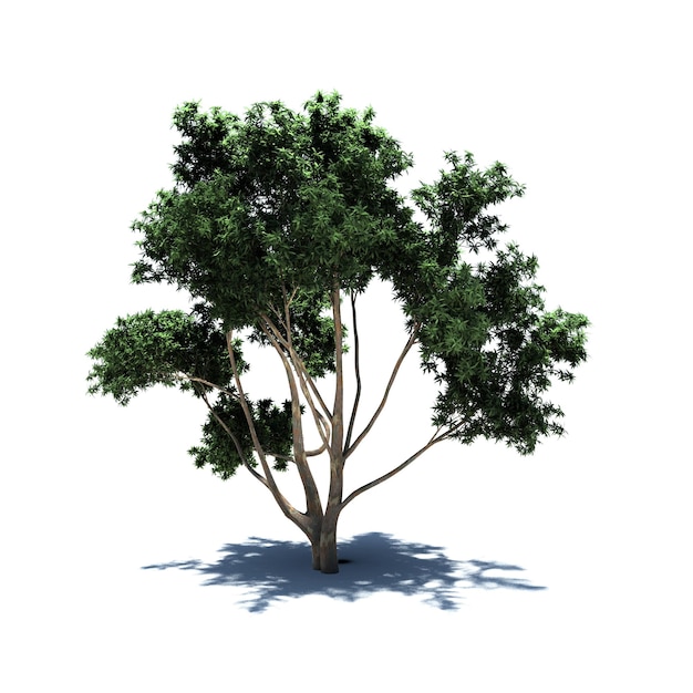 Standalone Tree