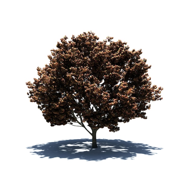 Standalone Tree