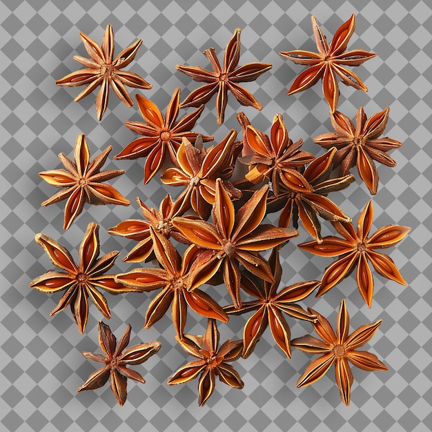 Star Anise Type of Herb Illicium Verum Form of Herb Whole St Isolated Object on Clean Background