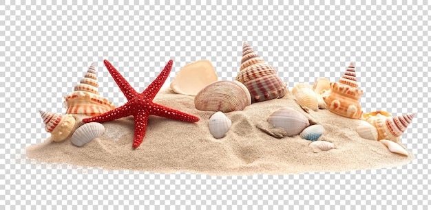 a starfish and shells on a beach sand