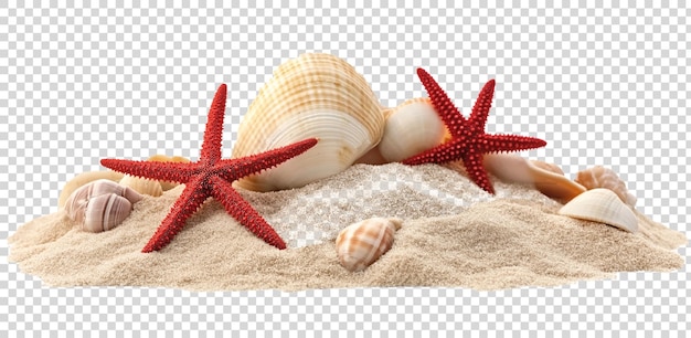 starfish and starfish on a beach sand