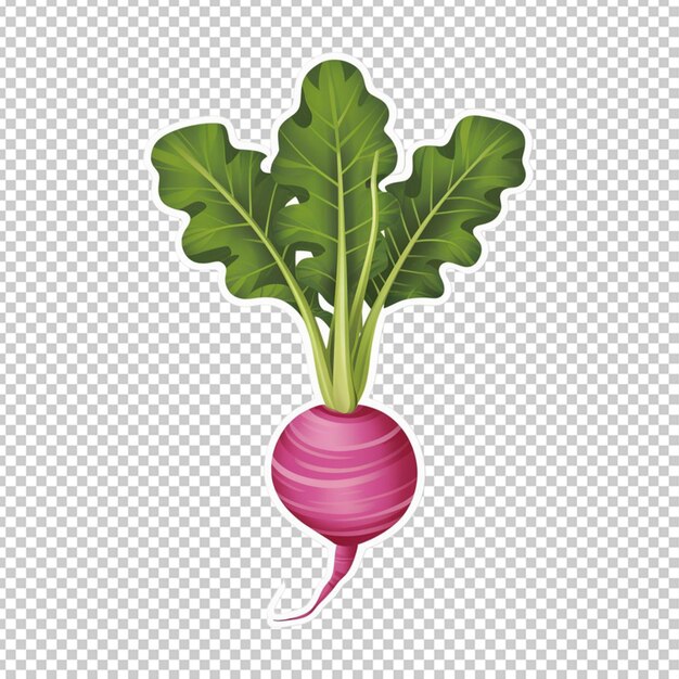 PSD sticker illustrated single radish with green leaves isolated on transparent background