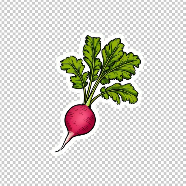 PSD sticker illustrated single radish with green leaves isolated on transparent background