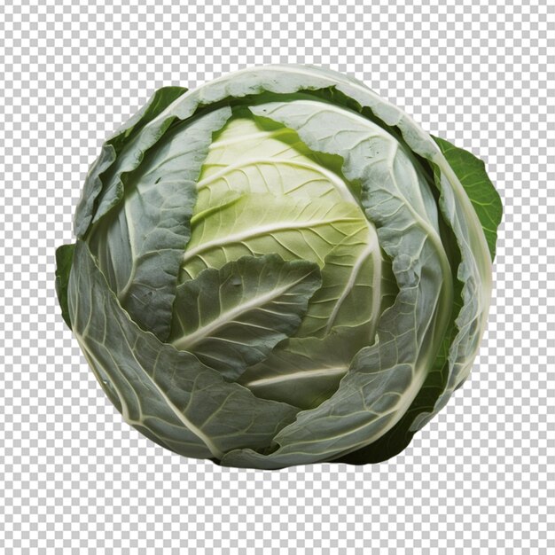 PSD sticker whole green cabbage head isolated on transparent background