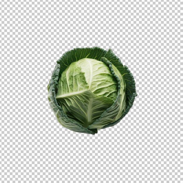 Sticker whole green cabbage head isolated on transparent background