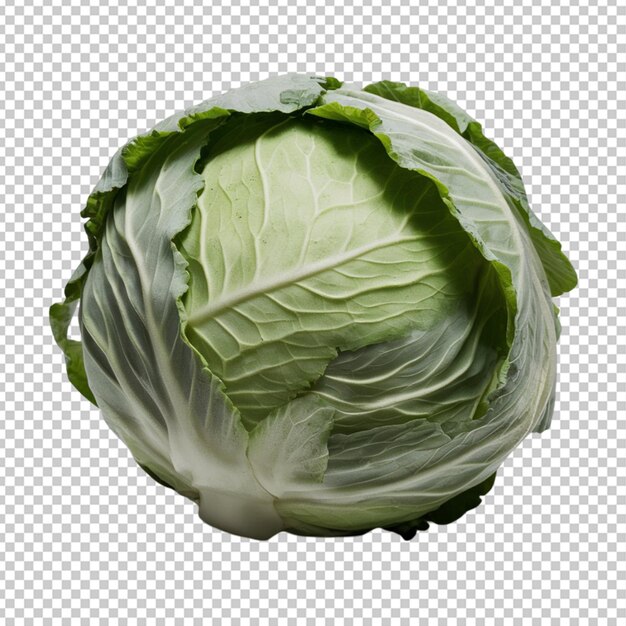 PSD sticker whole green cabbage head isolated on transparent background