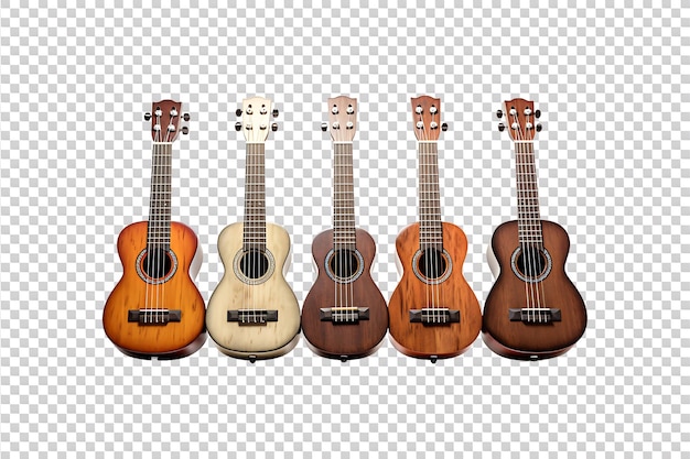 String Instruments isolated on transparent background