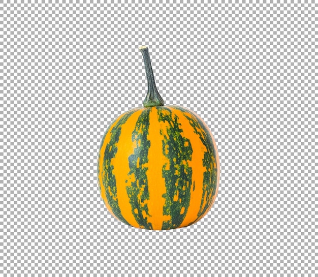 Striped orange and green small pumpkin isolated