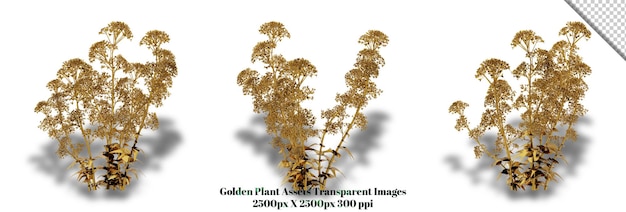 A stunning 3D rendering of a golden plant that will add richness and elegance to any design