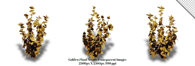 A stunning 3D rendering of a golden plant that will add richness and elegance to any design