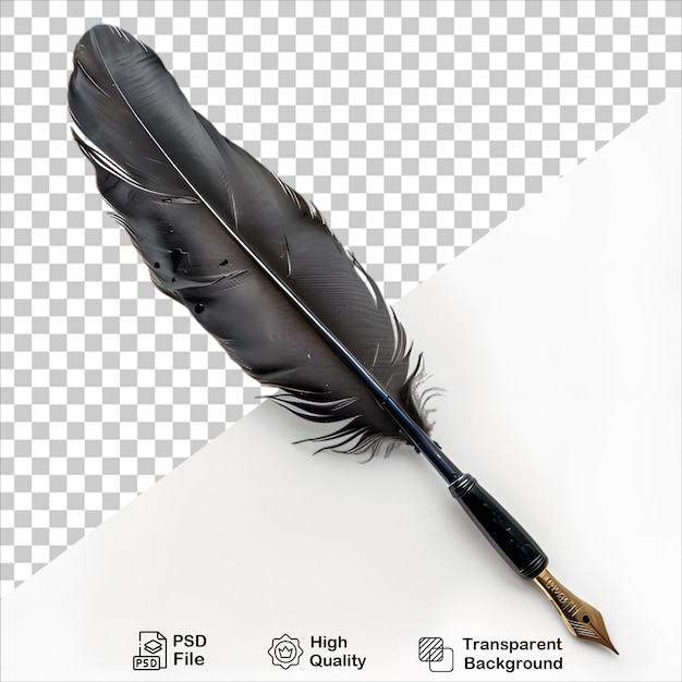 PSD stylish feather and pen design isolated