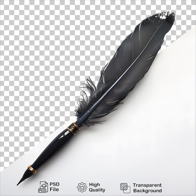 Stylish Feather and Pen Design Isolated