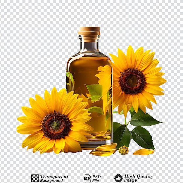 sunflower oil in glass isolated on transparent background