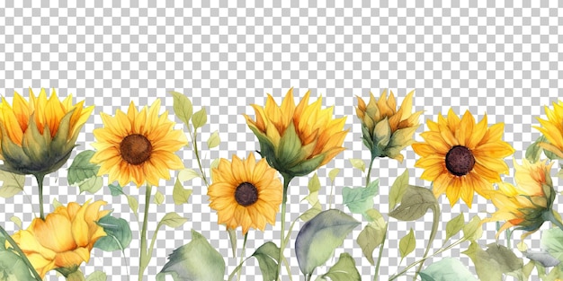 Sunflower Watercolor Style Footer Border Seamless Tile Isolated on Transparent Background