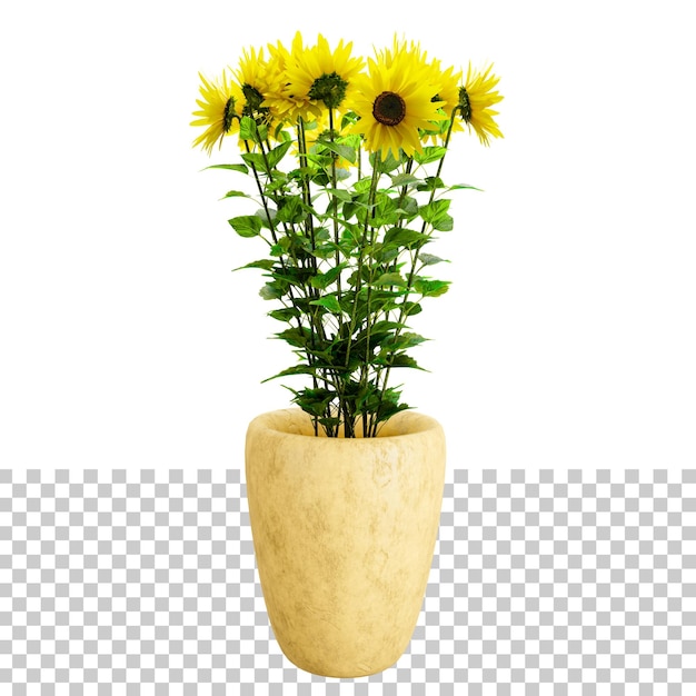 Sunflower with modern beautiful flower vase pot