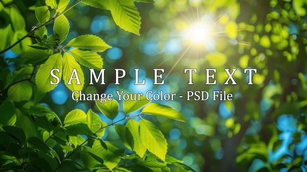 Sunlight Through Lush Green Foliage