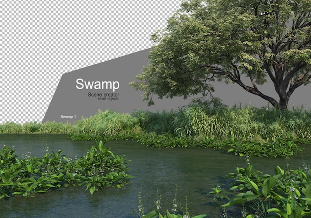 A swamp with a variety of trees