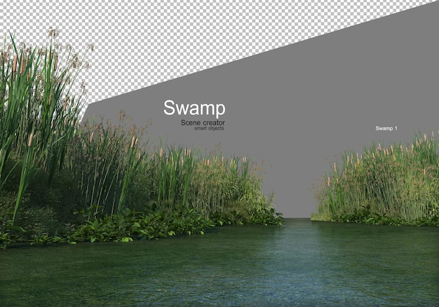 A swamp with a variety of trees