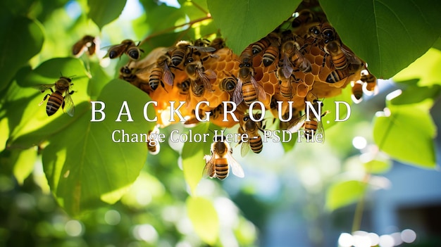 PSD swarms of bees swarming in their hives on tree branches in the garden