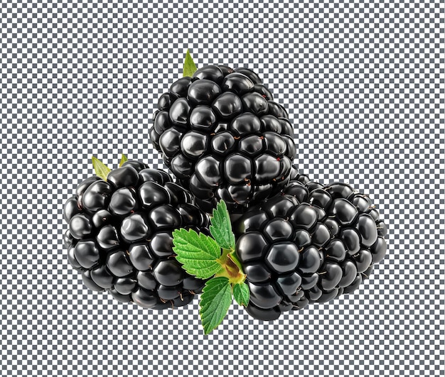 PSD sweet blackberries isolated on transparent background