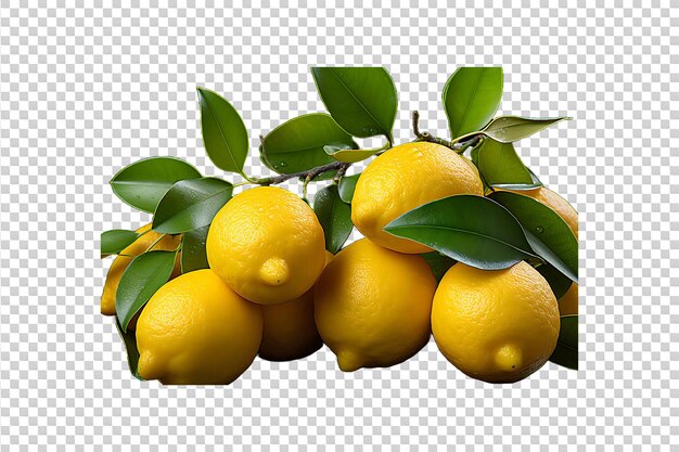 PSD sweet lemon plant isolated on transparent background