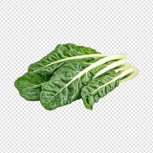 Swiss Chard isolated on transparent background cut out