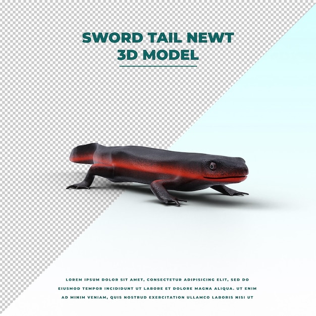 sword tail newt