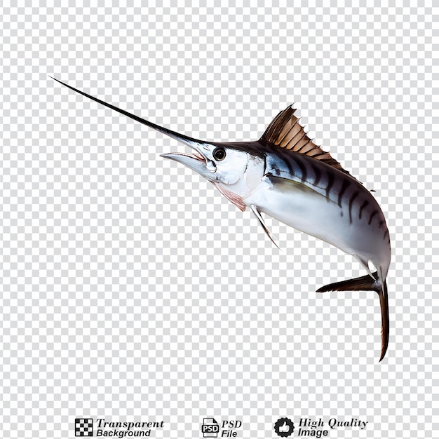 Swordfish isolated on transparent background