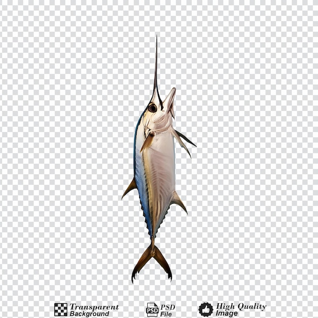 Swordfish isolated on transparent background