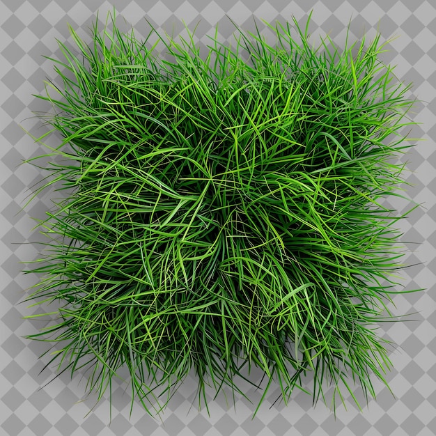 Tall Fescue With Hunter Green Branches and Indigo Mixed Gras PNG Green Texture Background