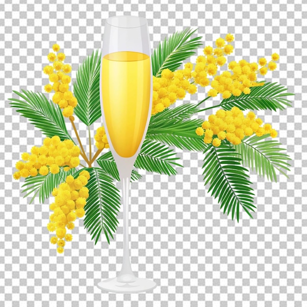 Tasty Mimosa isolated