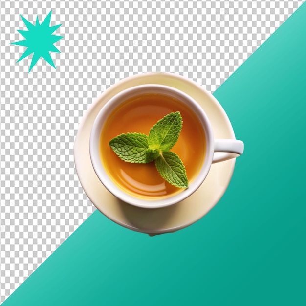 tea composition with mint leaf on transparent background