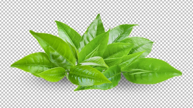 tea leaves isolated on alpha layer background