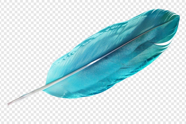 teal feather isolated on transparent background