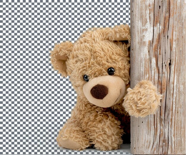 PSD a teddy bear is behind a wooden door