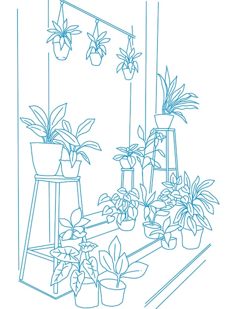 Terace home plant illustration