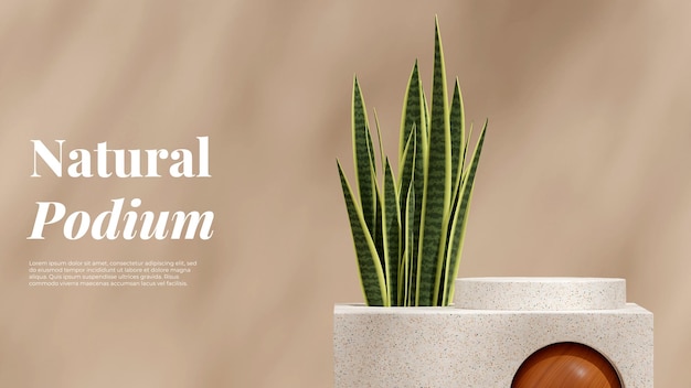 Terrazzo texture product podium 3d rendering mockup brown color in landscape with snake plant