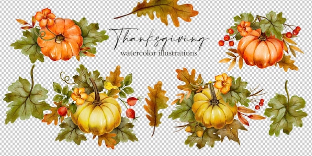 Thanksgiving pumpkin watercolor floral collection. Fall autumn prints. Layered PSD clipart set