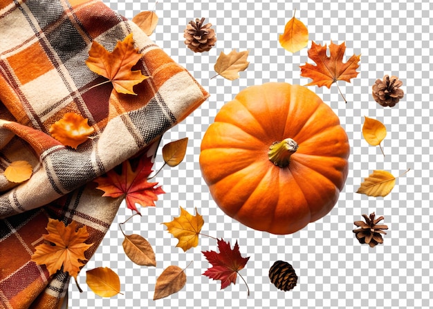 Thanksgiving pumpkin with cozy plaid transparent