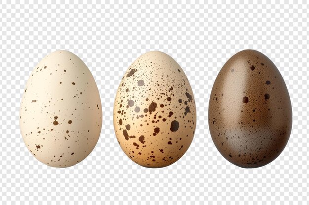 three eggs type isolated on transparent background