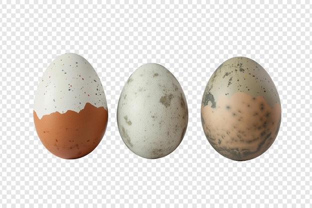 three eggs type isolated on transparent background