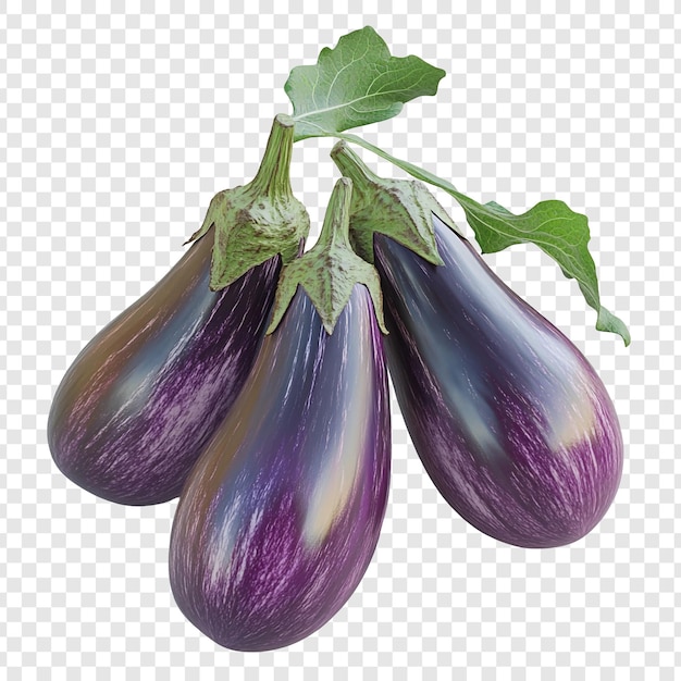 Three Fresh Eggplants