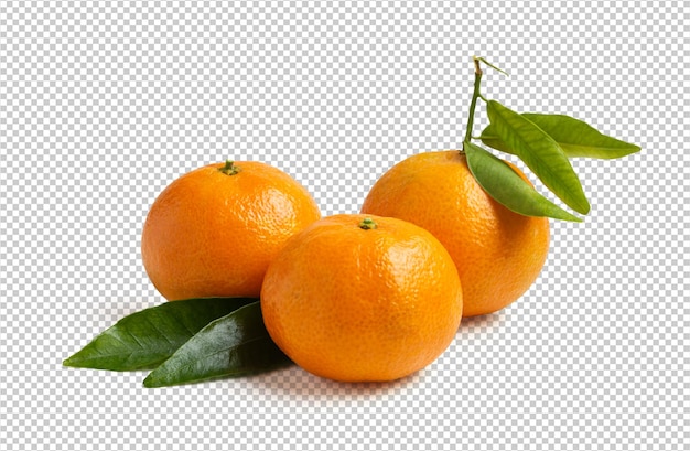 Three fresh seasonal tangerines isolated