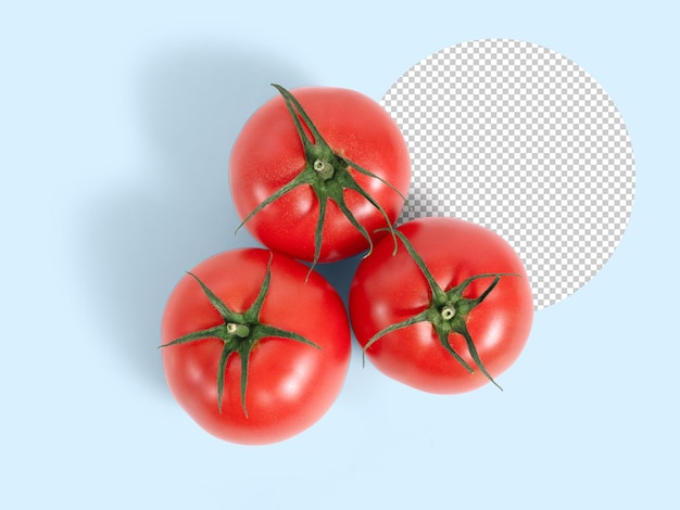 Three fresh tomatoes mockup, top view