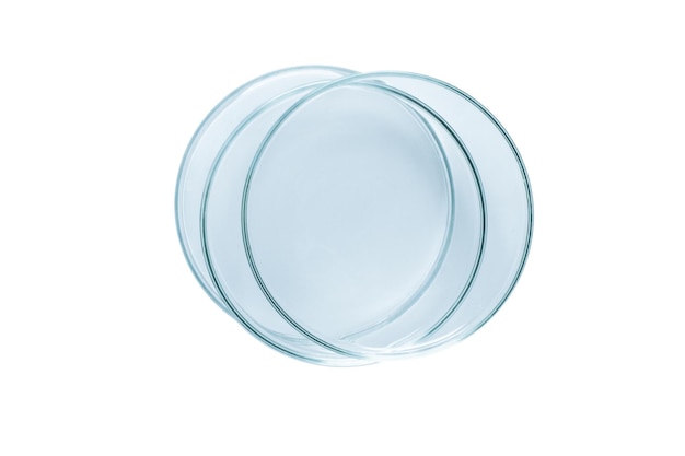 PSD three petri dishes empty from blue glass isolated png